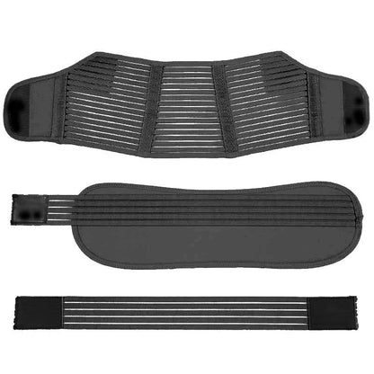 Belly Bands & Support